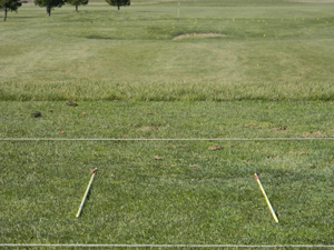 golf alignment sticks