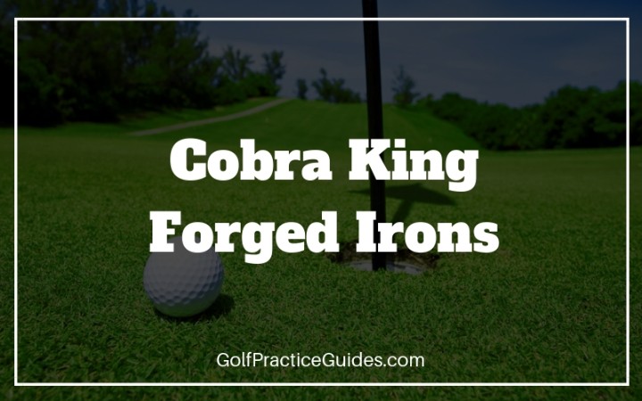 cobra king forged irons review