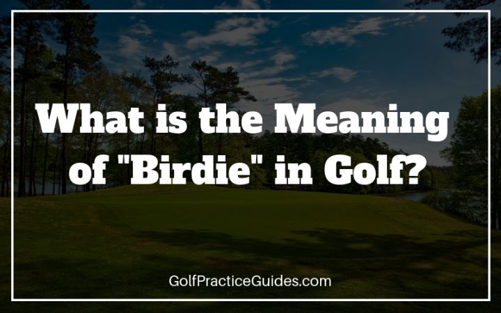 meaning of birdie in golf