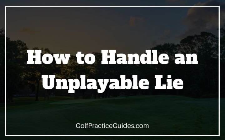 unplayable lie golf rule