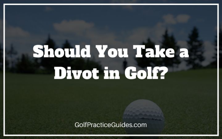 golf divots