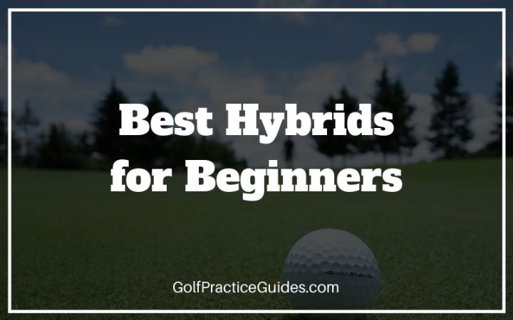 best hybrids for beginners
